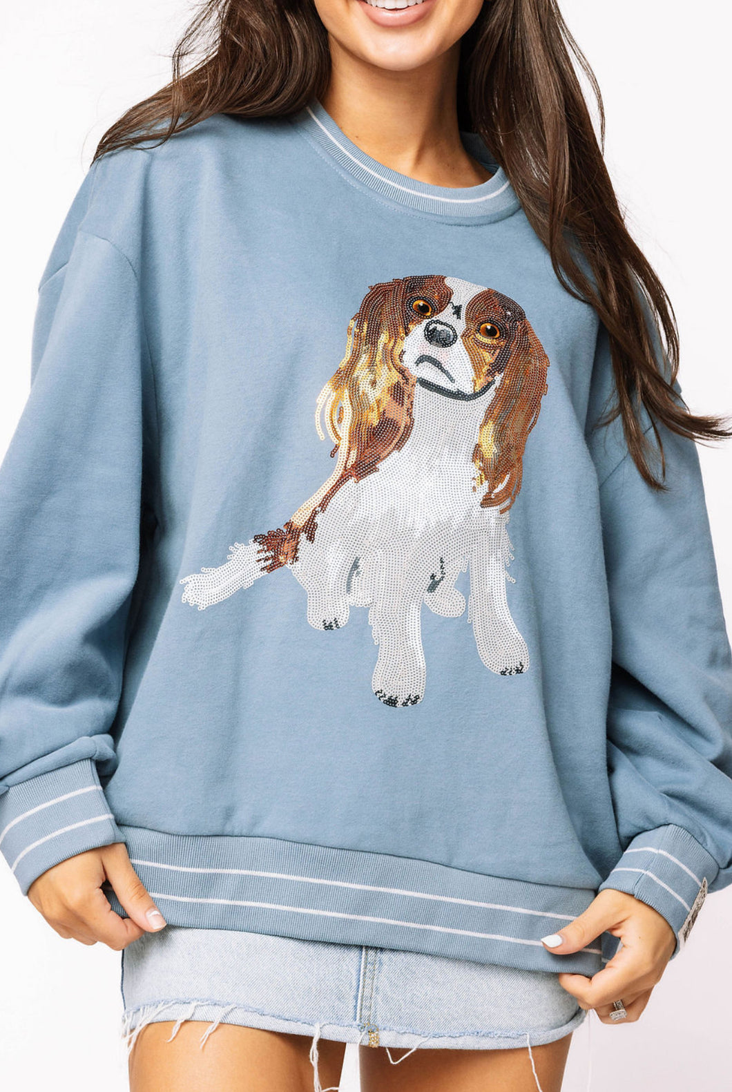 Queen Of Sparkles Dusty Blue King Charles Spaniel Sweatshirt