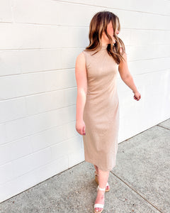 Been There Taupe Dress